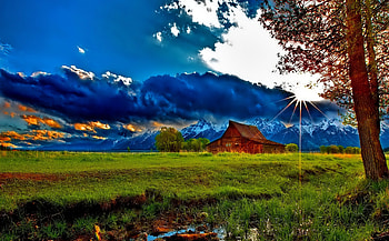 Autumn, fall, trees, sky, , cabin HD wallpaper