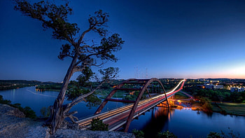 Cities, Rivers, Night, Wood, Tree, Bridge HD wallpaper