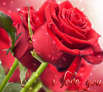 I Love You, saying, quote, romance, flirt, sign, love, cool, romantic, new HD wallpaper