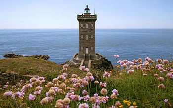 Lighthouse in France, sea, lighthouse, coast, France, flowers HD wallpaper