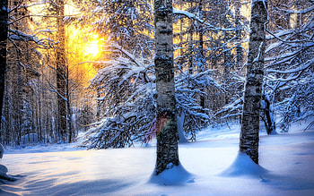 Landscape, Winter, Nature, Trees, Snow HD wallpaper