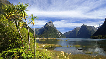Fjord, New Zealand, Mitre Peak, Enchanting HD wallpaper