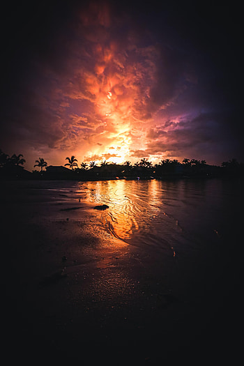 Nature, Sunset, Palms, Coast, Silhouette HD phone wallpaper