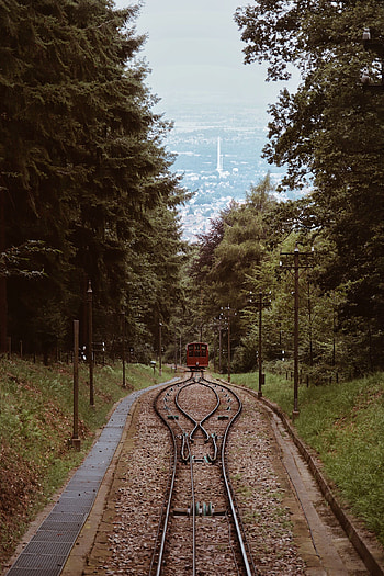 Nature, Trees, Miscellanea, Miscellaneous, Railway, Rails, Train HD phone wallpaper