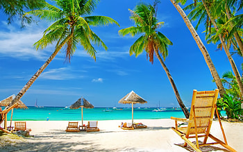 Landscape, Sea, Beach, Palms HD wallpaper