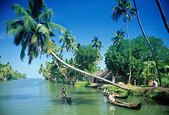 Kerala's beauty, Striking , -worthy , High definition visuals HD wallpaper