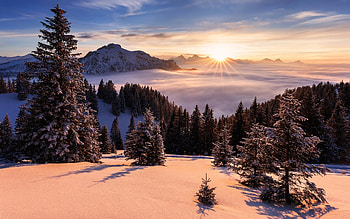 Mountain top in Germany, trees, winter, snow, mountain HD wallpaper