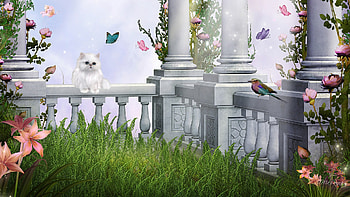 Summer Courtyard, kitten, bird, firefox persona, pillers, cat, grass, spring, summer, butterflies, flowers HD wallpaper