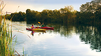 Everglades National Park, RV travel, Camper exploration, Adventure HD wallpaper