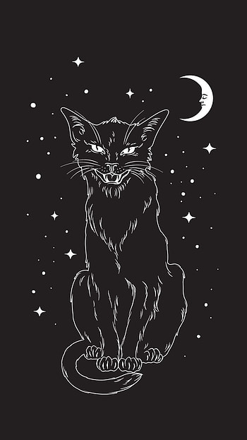 Cat, zedgecreator, 4 HD phone wallpaper