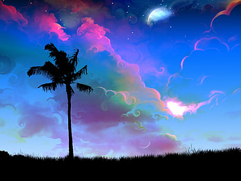 Art, Night, Twilight, Wood, Tree, Palm, Dusk HD wallpaper