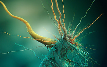 3D graphics, graphics, 3d HD wallpaper