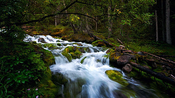 Exploring Kananaskis, Alberta, cascades, river, canada, rocks, forest HD wallpaper