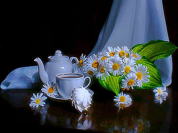 Still life, tea, vase, beautiful, nice, daisies, pretty, flowers, lovely HD wallpaper
