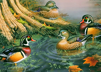 ღ, colorful, ducks, art, painting HD wallpaper
