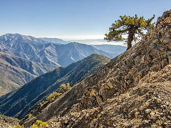 tree in the mountains, clouds, sky, mountains, tree HD wallpaper