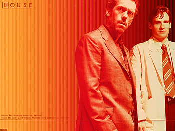 Cinema, Actors, House M.d., Robert Sean Leonard, Hugh Laurie HD wallpaper