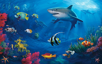 Beautiful fish backgrounds, Colorful aquatic life, Underwater beauty, Tropical marine creatures HD wallpaper