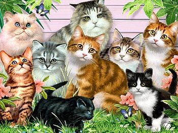 By Howard Robinson, kitten, howard robinson, cat, flower HD wallpaper