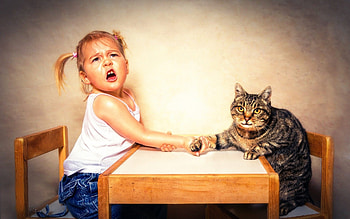 ...and we have a winner!!, table, upset, winner, cat, girl, paw, hand, arm wrestling HD wallpaper