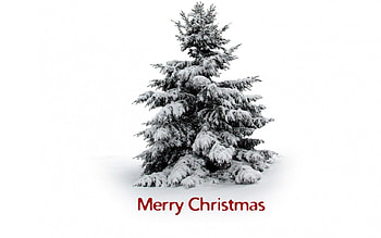 Christmas, bell, christmas decorations, stars, happy holidays, red ball, christmas bell, christmas decoration, magic christmas, bow, christmas balls, merry christmas, christmas ball, ribbon, bells, decoration, christmas gifts, pretty, christmas bells, ball, lovely, holidays, graphy, christmas eve, golden ball, gift, beauty, xmas, holiday, new year, golden, christmas gift, magic, beautiful, balls, happy new year, red balls, box, decorations, golden balls HD wallpaper