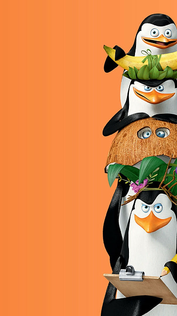 Madagascar movie , Colorful backgrounds, Wild animal adventure, Animated film HD phone wallpaper