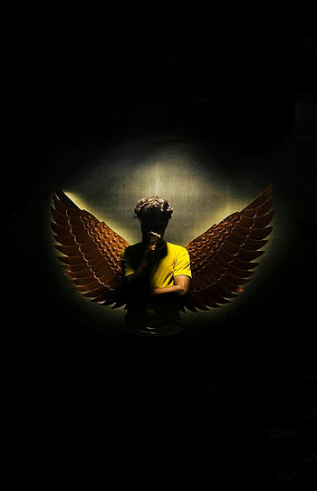 Wings, shadow, devil, angel HD phone wallpaper