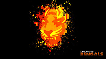 Cincinnati Bengals and Screensavers HD wallpaper