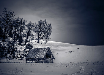 Landscape, cottage, winter, tree HD wallpaper