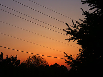 west virginia sunset, night, trees, west virginia, sunset HD wallpaper