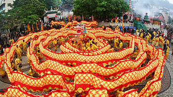 Chinese New Year Holiday, Festival , Dragon motif HD wallpaper