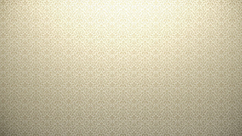 Plain White - afari HD wallpaper