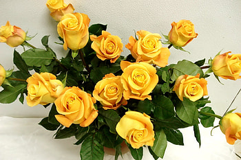 Flowers, Roses, Bouquet, Vase, Gorgeous, Chic HD wallpaper