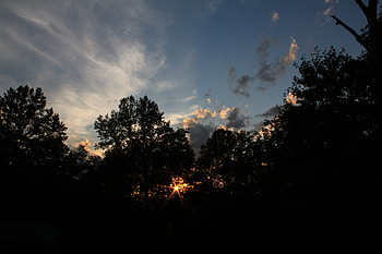 Nature, Trees, Sunset, Sky, Dark, Beams, Rays, Branches HD wallpaper