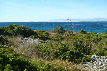 sea side, island, blue, coast, bush, beach, shore, trees, mountains, water, ocean, sea, landscape, beautiful, grass, rocks, tree, stones, green HD wallpaper