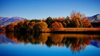 Lake Ruataniwha, Twizel - New Zealand, reflection, autumn, trees, sky, water, mountain HD wallpaper