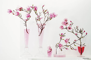 Spring Fling, shapes, art, depth, spring, sizes, vases, pinks, blossoms, branches, glass, flowers, shades, water HD wallpaper