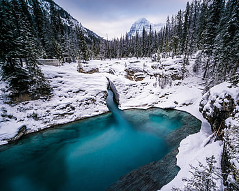 Lake, pine trees, forest, winter HD wallpaper