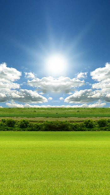 Sun on Android, Digital aesthetics, Mobile delight, Screen beautification HD phone wallpaper