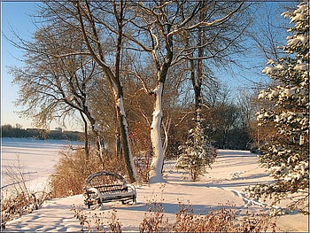 Winter Winnipeg Wickerwork, winter, manitoba, wickerwork, winnipeg, canada HD wallpaper
