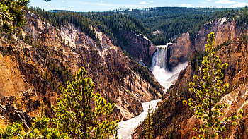 Lower Yellowstone Canyon Falls - Yellowstone National Park, Wyoming, river, trees, landscape, sky, mountains, usa HD wallpaper
