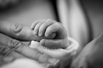 Close-up of a newborn's hand gently holding an adult's finger, symbolizing love and connection. HD wallpaper