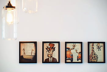 A modern interior display of four framed giraffe-themed artworks, enhanced by warm lighting. HD wallpaper