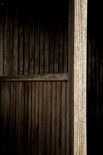 Wood, Wooden, Tree, Texture, Textures, Planks, Board HD phone wallpaper