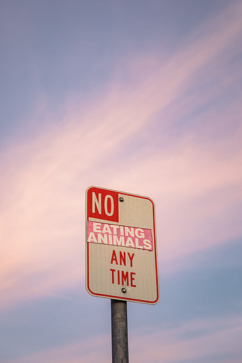 Animals, Words, Sign, Vegan, Vegetarian, Veganism HD phone wallpaper