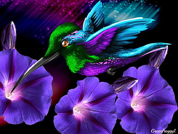 LITTLE HUMMER, LITTLE, CREATION, HUMMING, BIRD HD wallpaper