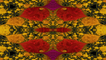 Trippy Psychedelic Fractal, trippy, psychedelic, aesthetic, pattern, Abstract, fractal HD wallpaper