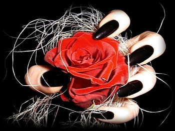rose, friendship, day, flower HD wallpaper