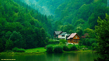 Relaxing - for eye, Eye Soothing HD wallpaper