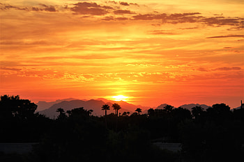 Nature, Sunset, Sky, Palms, Hills HD wallpaper